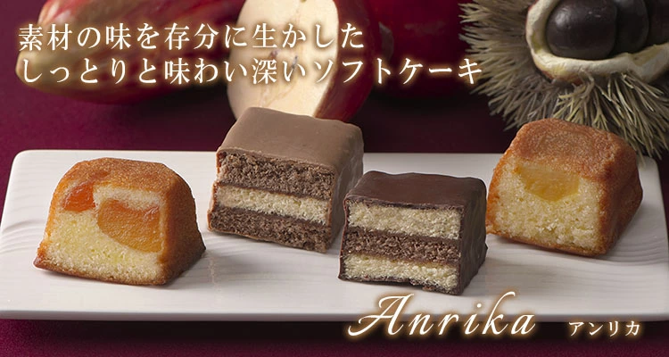 アンリカ説明